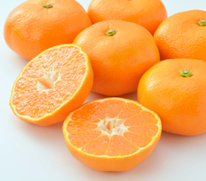 Mikan Oranges