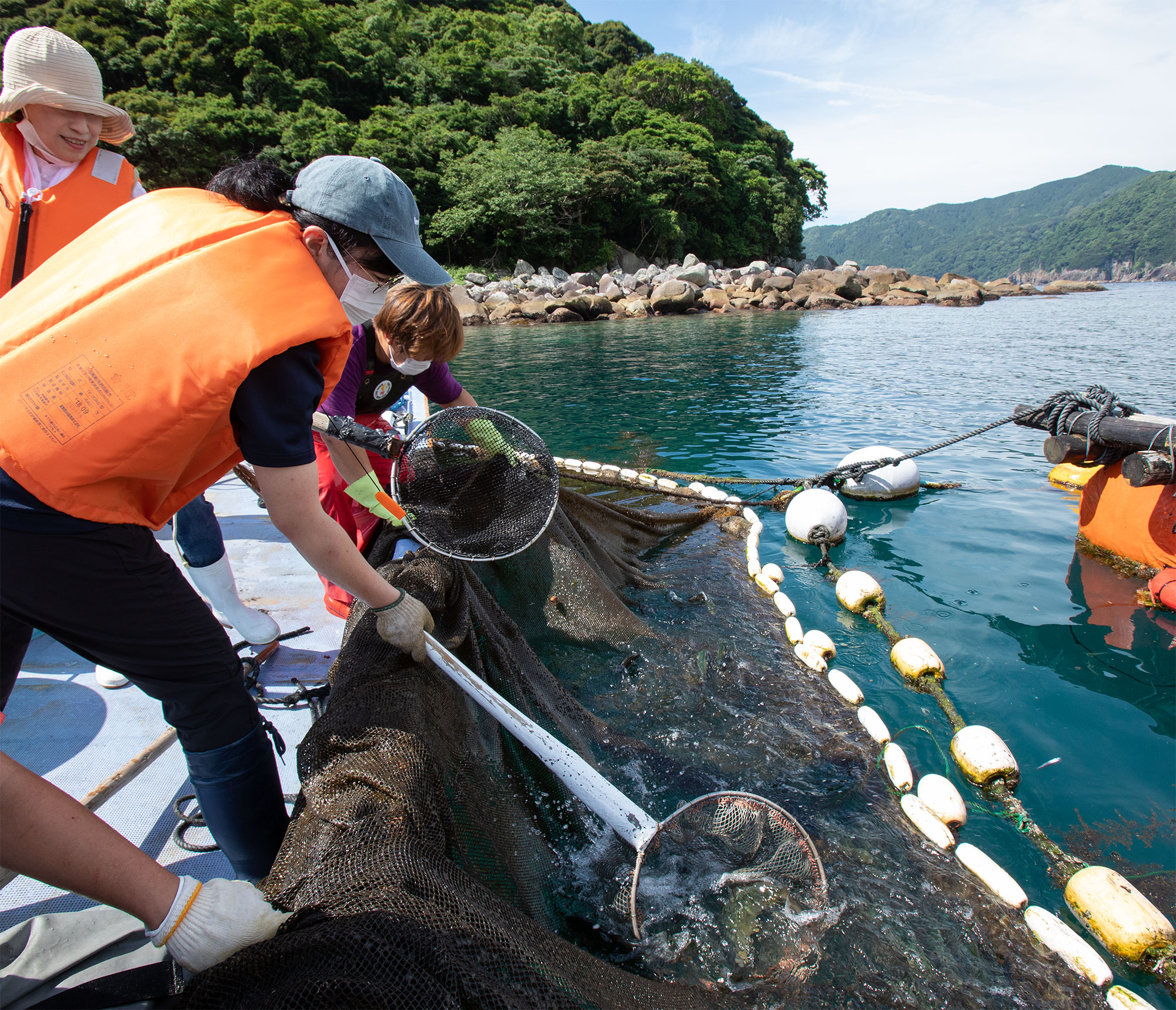 古道唯一、川の参詣道も体験できる！観光遊覧に定置網漁、ウミガメともふれあえる東紀州には 自然体験が充実！