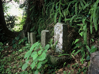 Pilgrim Gravestones