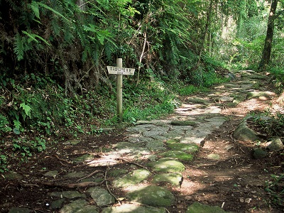 Meiji Period Stone Path