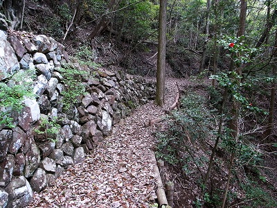 Stone Walls on Meiji Route