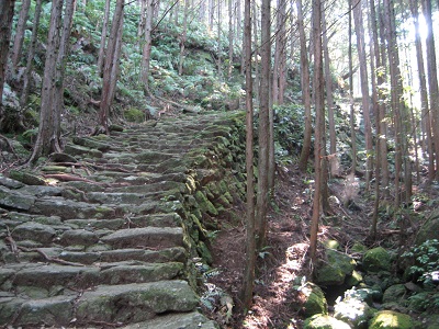 Edo Period Stone Path