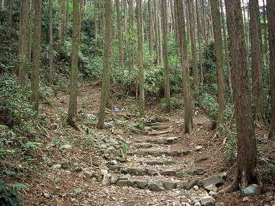 Edo Route