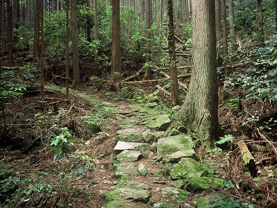 Stone Path