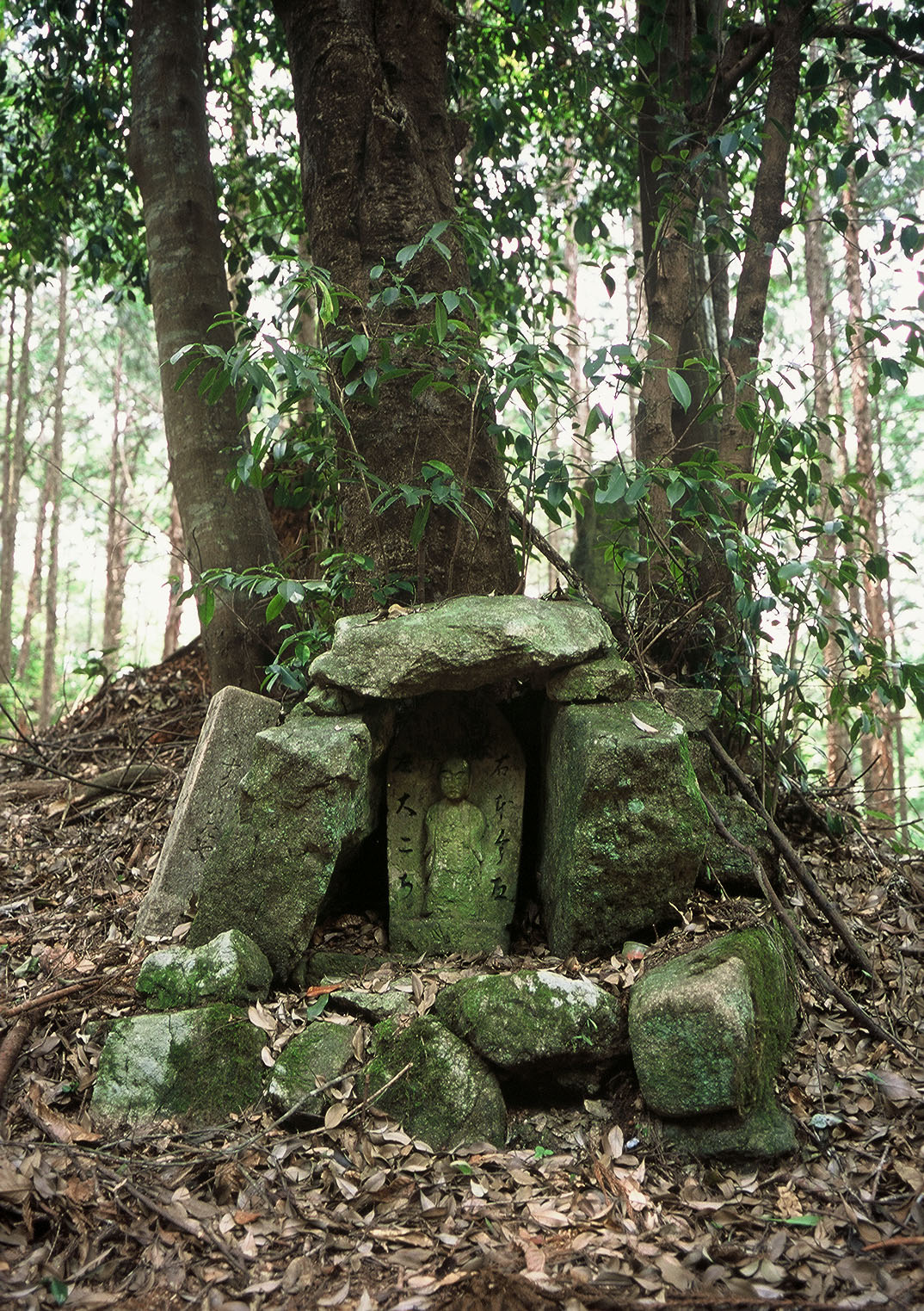 本宮道（熊野古道伊勢路）