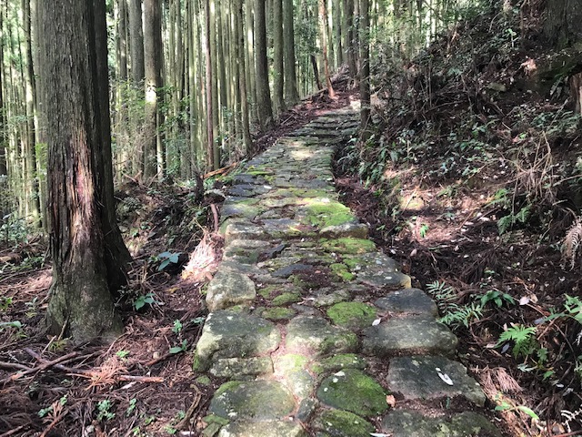 世界遺産 熊野古道伊勢路の「横垣峠」と「風伝峠」を歩いてみませんか？