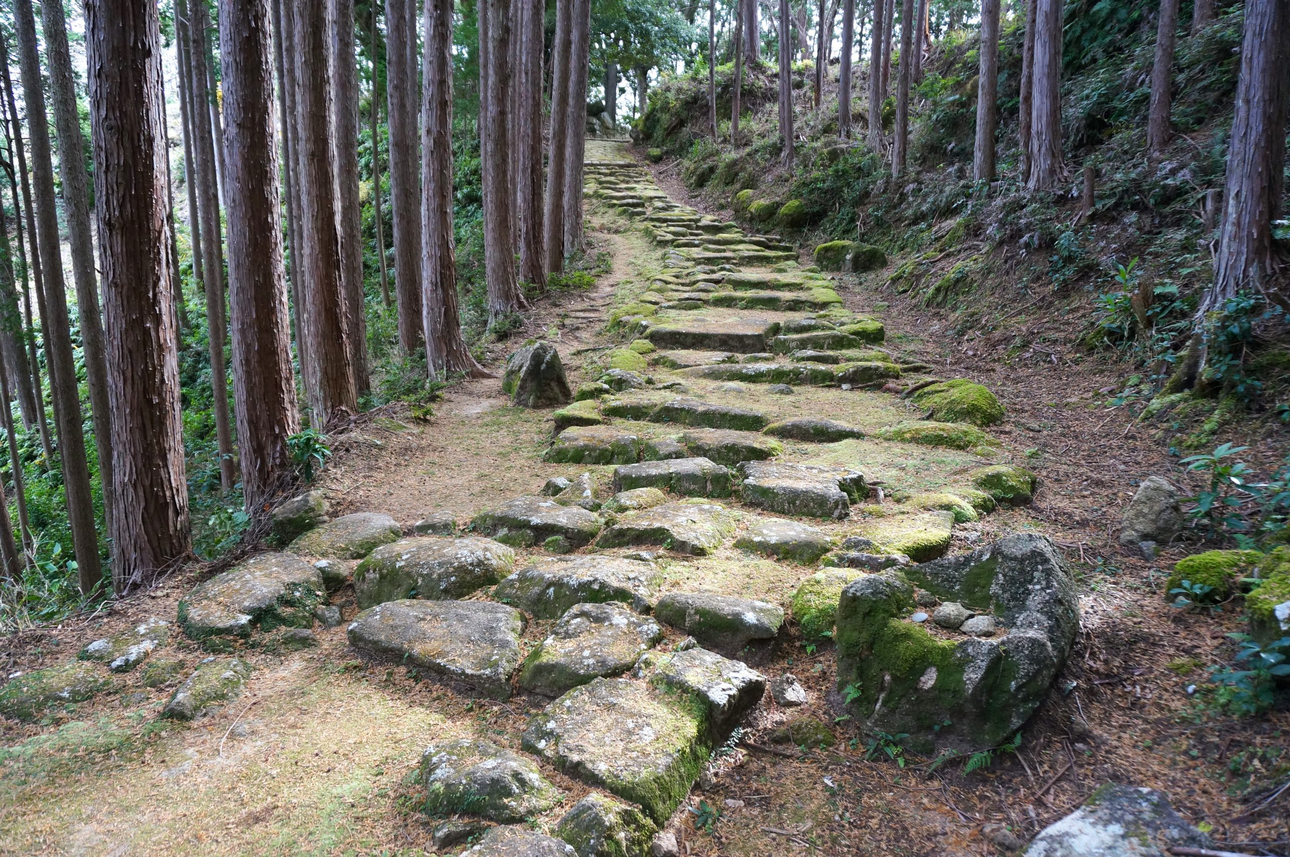 熊野古道伊勢路最古の石畳と美しい里山や海を望む「波田須の道」｜三重県熊野市