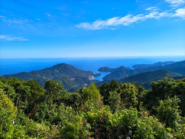 熊野古道ファン必見！八鬼山で出会う“険しさと美しさ”の共演